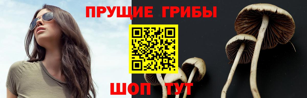 Галлюциногенные грибы ЛСД Чебаркуль